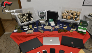 Vercelli - Arrestato 63enne promotore di “incontri” con funghi allucinogeni, sequestrate 220 compresse di psilocibina