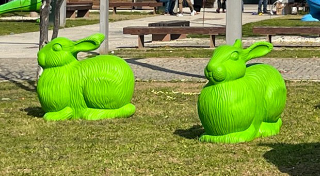 “ArteNatura”: a Vercelli l’arte incontra l’ambiente con oltre 50 animali in plastica rigenerata